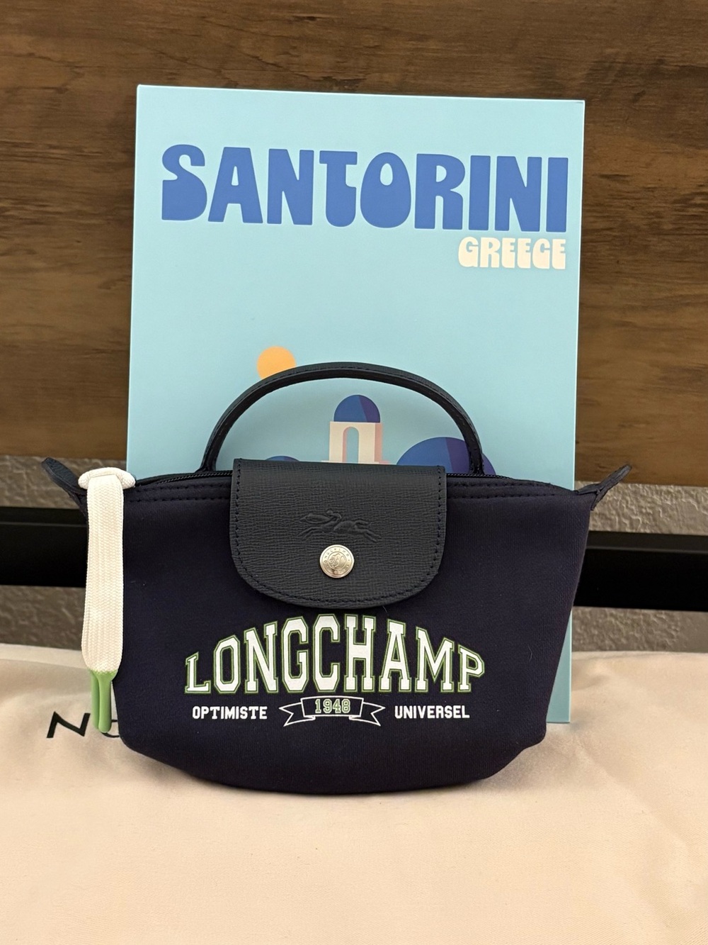 Longchamp Mini Top-Handle Logo Pouch